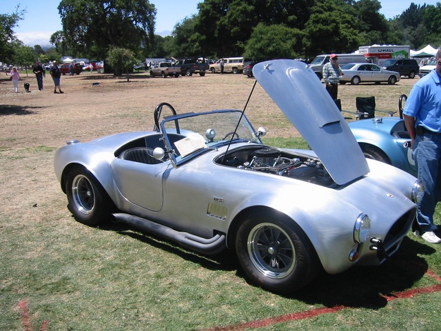Cobra