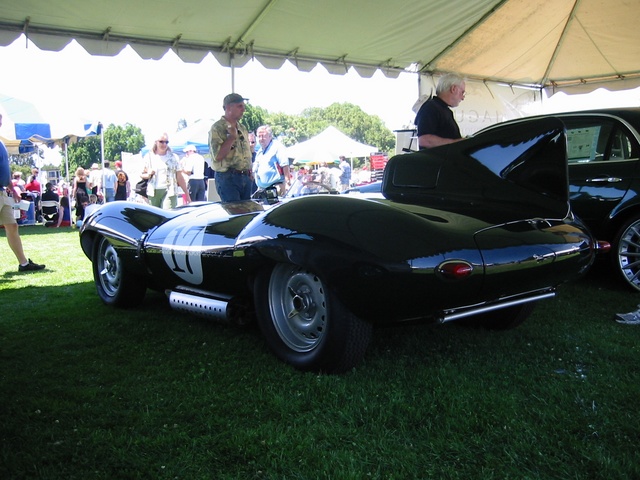 Jaguar D-Type