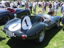 1954 Jaguar D-Type