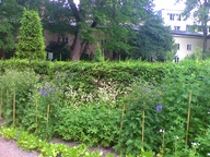 Linnaeus Botanical Gardens