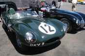 Jaguar D-type and C-type