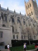 IMG_5662.JPG